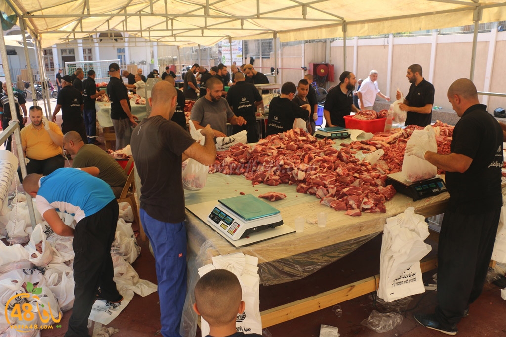 ada7y forthei (1).JPG